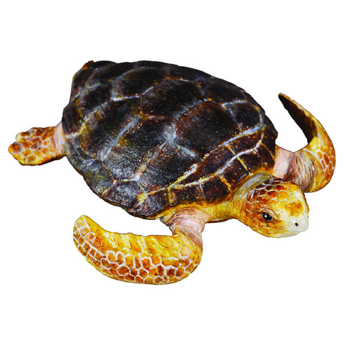 Collecta MED Loggerhead Turtle