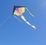 Kite - Delta Rainbow