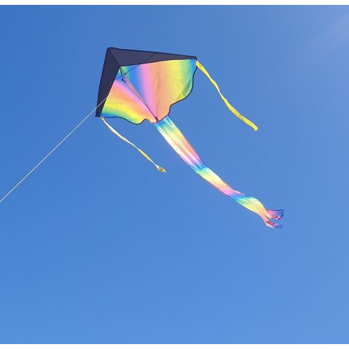 Rainbow Delta Kite 