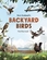 New Zealand Backyard Bird