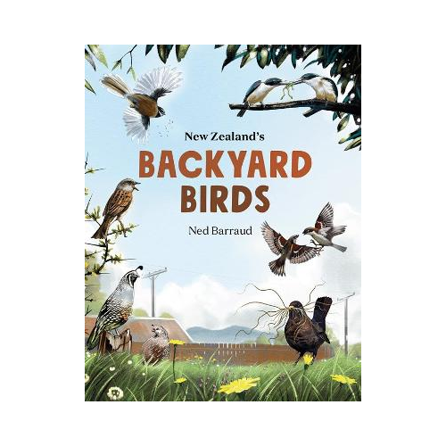 New Zealand Backyard Birds