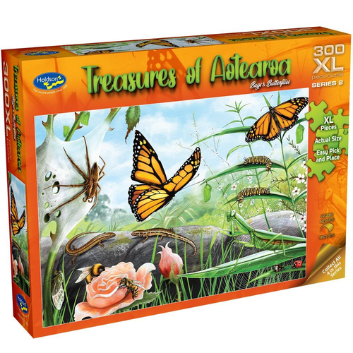 Treasures Of Aotearoa Bugs And Butterflies