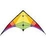 kite
