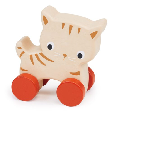 Mentari Kitten On Wheels