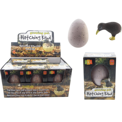 Hatching Kiwi - Large