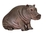 hippo