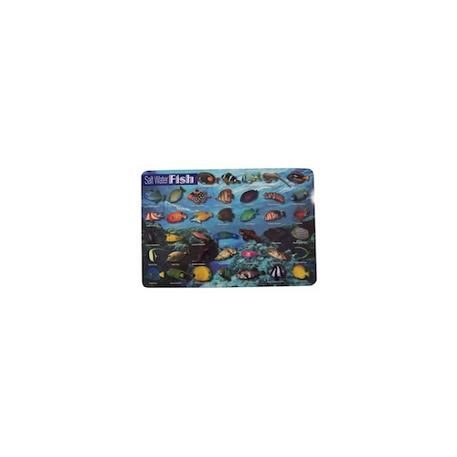 Learning Placemat - Salt Water Fish