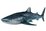 shark