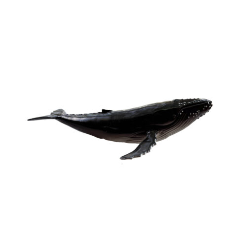 Humpback Whale Replica Soft PVC