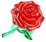 rose