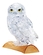 Owl clear 