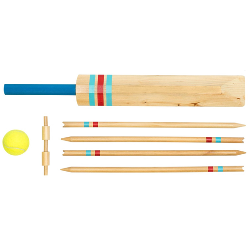 Professor PUZZLE Cricket Set