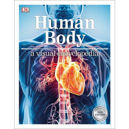 DK Human Body A Childrens Encyclopedia