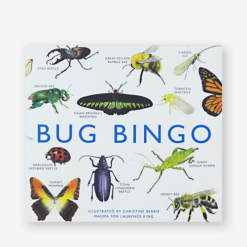 Bug Bingo Game