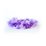 garlandpurple-front