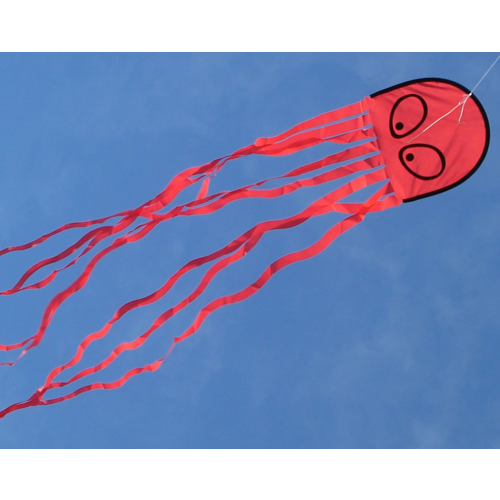 Octopus kite with string