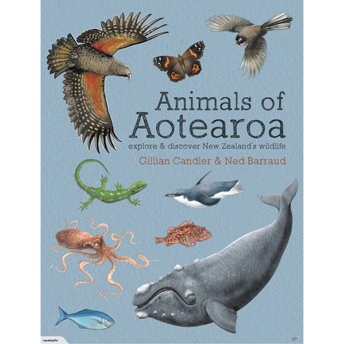 Animals of Aotearoa