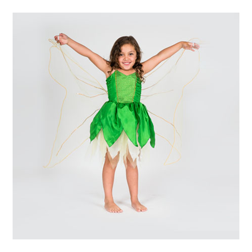 Costume Tinkerbell Fairy