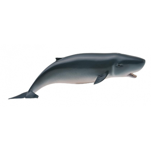 CollectA Pygmy Sperm Whale