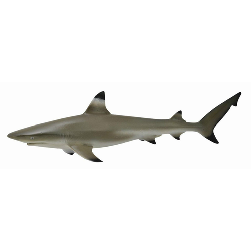 CollectA Blacktip Reef Shark