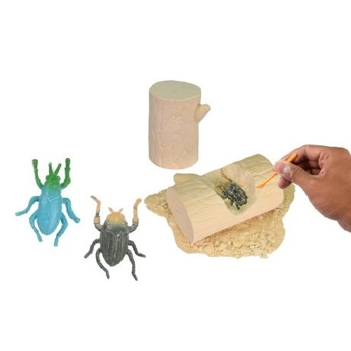 Fossil Insect Excavation Set