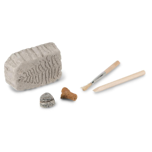 Fossil Dig Paleo Kit