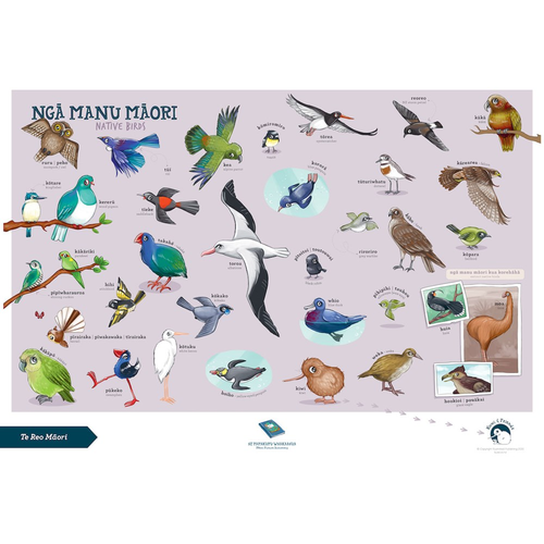Te Reo Maori Wall Poster - Native Birds A3 