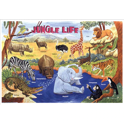 Learning Placemats - Jungle Life