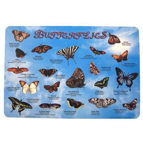 Learning Placemats - Butterflies