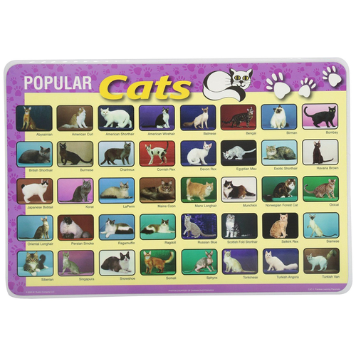 Learning Placemats - Cats
