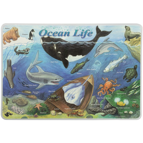 Learning Placemats - Ocean Life