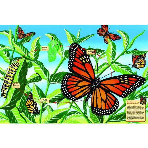 Floor Puzzle Monarch Butterfly Life Cycle 48pc