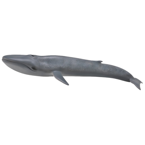 Collecta Blue Whale 