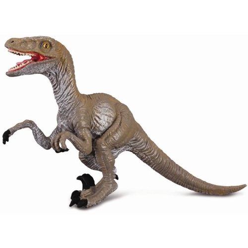 Collecta Velociraptor 