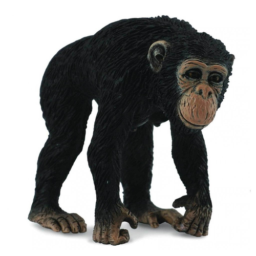 Collecta Chimpanzee Female