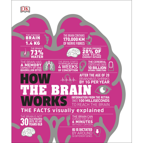 How the Brain Works