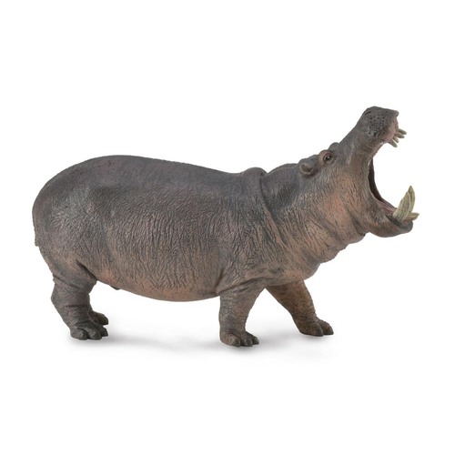 Collecta Hippopotamus