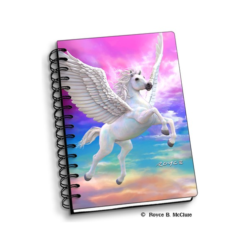Notebook Pegasus