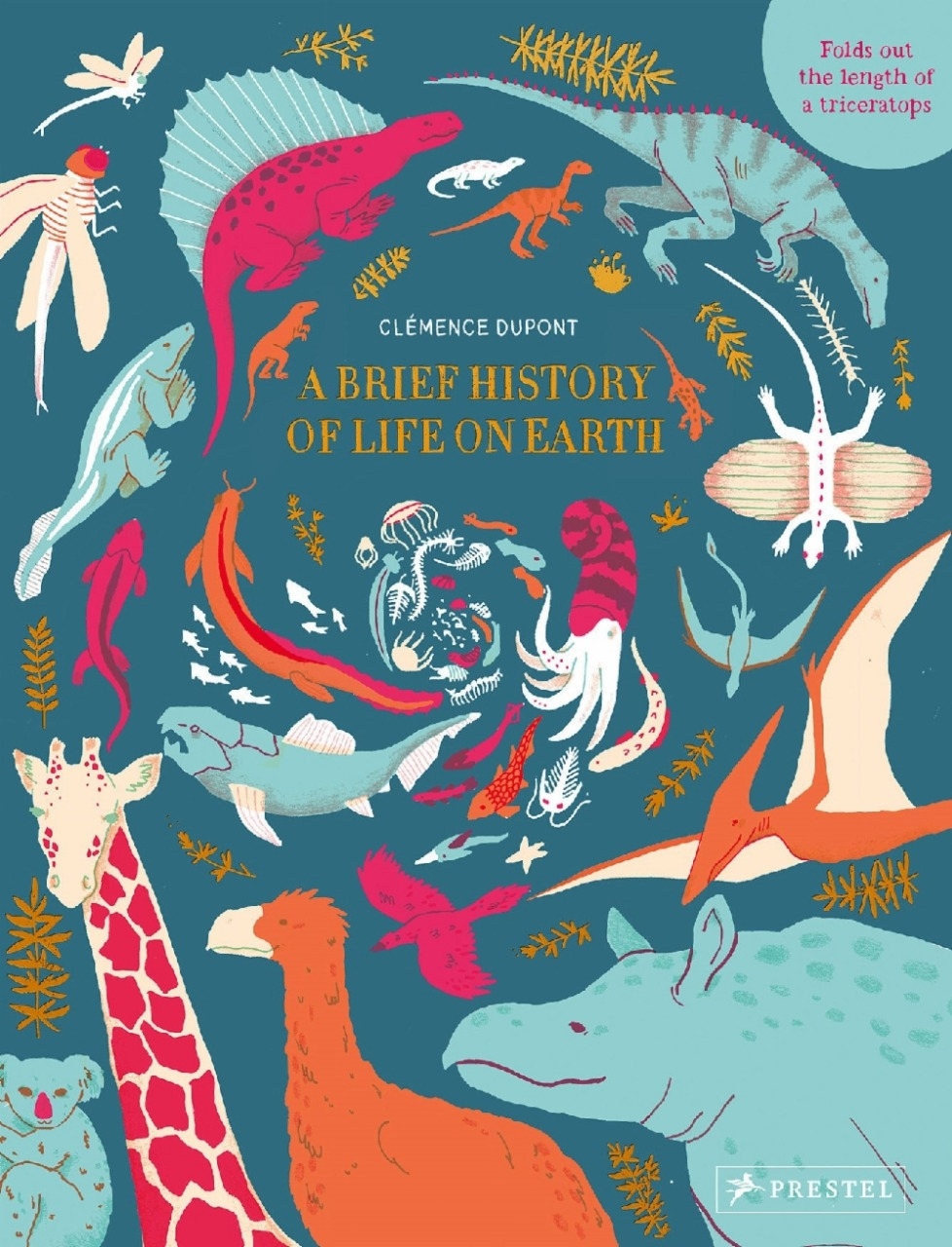 A Brief History of Earth BooksNonFiction Craniums Books
