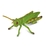 grasshopper-01