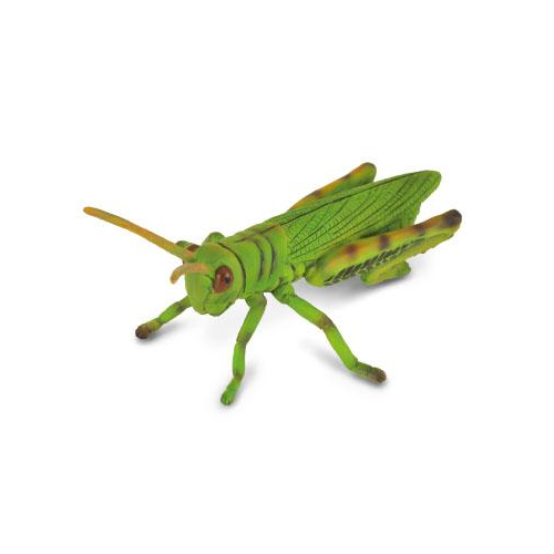 Collecta Grasshopper