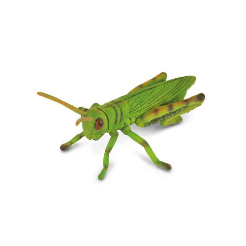 Collecta Grasshopper - Toys-Imaginative Play : Craniums - Books | Toys