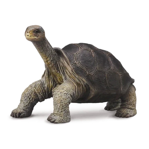 Collecta Pinta Island Tortoise