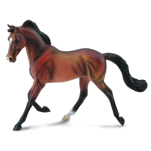 Collecta Thoroughbred Mare Bay  