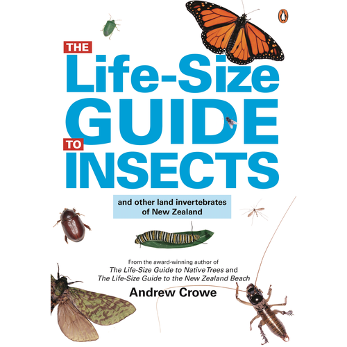 Life Size Guide to Insects