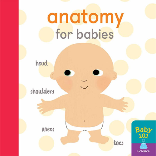 Anatomy for Babies Board Book