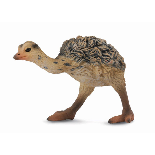 Collecta Ostrich Chick Walking